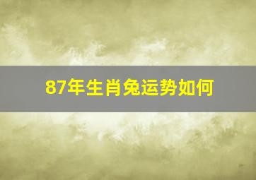 87年生肖兔运势如何