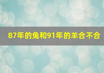 87年的兔和91年的羊合不合