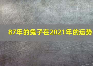 87年的兔子在2021年的运势