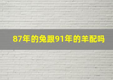 87年的兔跟91年的羊配吗