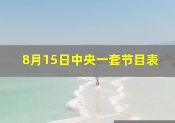 8月15日中央一套节目表