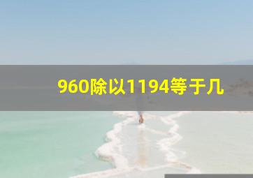 960除以1194等于几