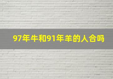 97年牛和91年羊的人合吗