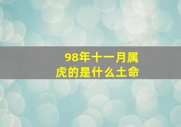 98年十一月属虎的是什么土命