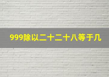 999除以二十二十八等于几