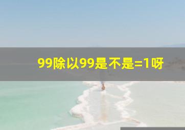 99除以99是不是=1呀