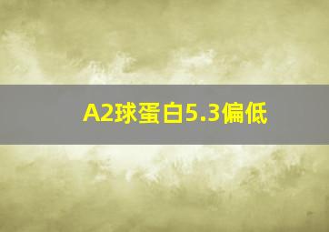 A2球蛋白5.3偏低