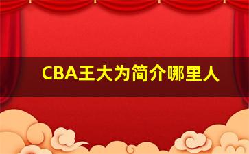 CBA王大为简介哪里人