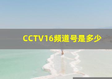 CCTV16频道号是多少