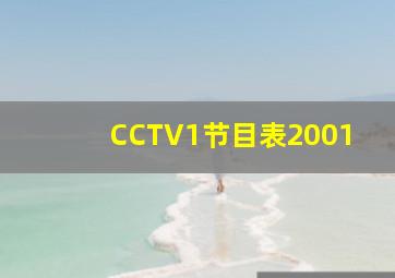 CCTV1节目表2001