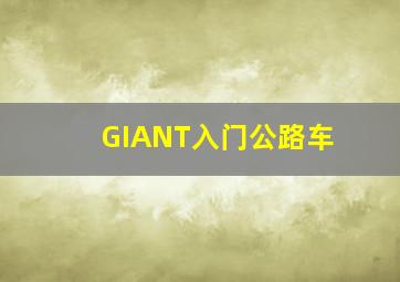 GIANT入门公路车