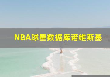 NBA球星数据库诺维斯基