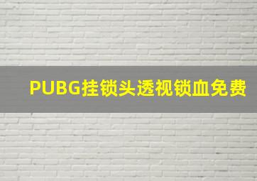 PUBG挂锁头透视锁血免费