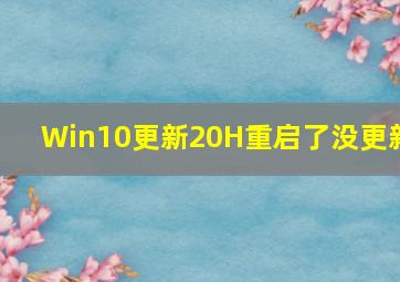 Win10更新20H重启了没更新