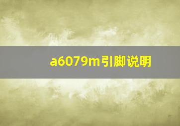 a6079m引脚说明