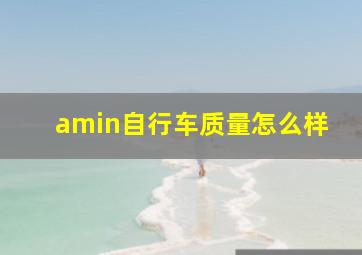 amin自行车质量怎么样