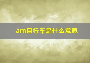 am自行车是什么意思