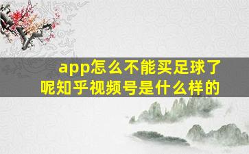 app怎么不能买足球了呢知乎视频号是什么样的