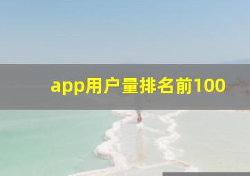 app用户量排名前100