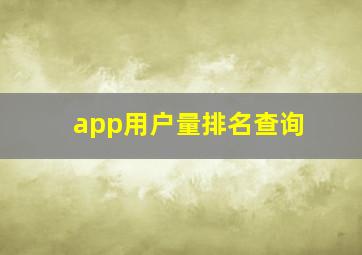 app用户量排名查询