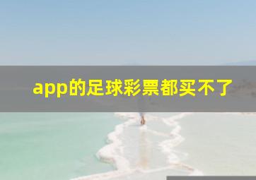 app的足球彩票都买不了