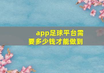 app足球平台需要多少钱才能做到