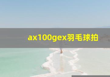 ax100gex羽毛球拍