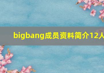 bigbang成员资料简介12人