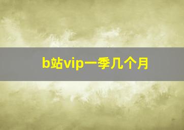 b站vip一季几个月