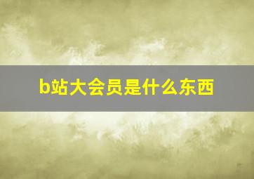 b站大会员是什么东西