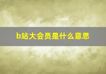 b站大会员是什么意思