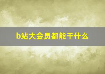 b站大会员都能干什么