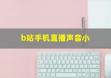 b站手机直播声音小