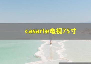 casarte电视75寸