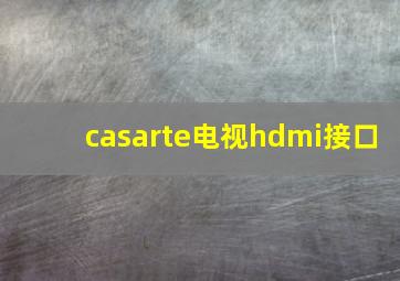 casarte电视hdmi接口