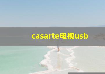 casarte电视usb