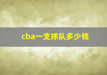 cba一支球队多少钱