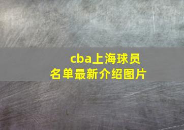 cba上海球员名单最新介绍图片