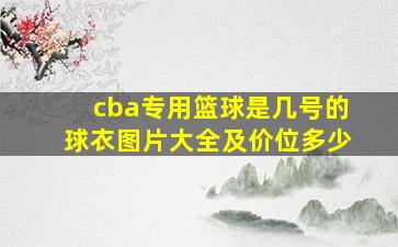 cba专用篮球是几号的球衣图片大全及价位多少