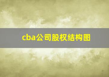 cba公司股权结构图