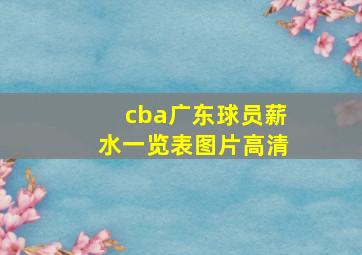 cba广东球员薪水一览表图片高清