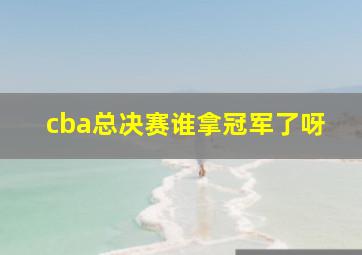 cba总决赛谁拿冠军了呀