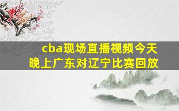 cba现场直播视频今天晚上广东对辽宁比赛回放