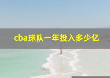 cba球队一年投入多少亿