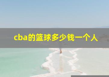 cba的篮球多少钱一个人