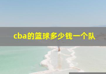 cba的篮球多少钱一个队