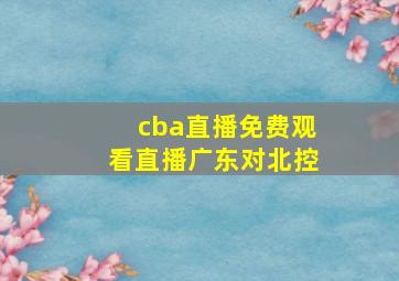 cba直播免费观看直播广东对北控