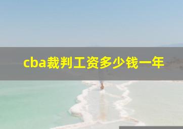 cba裁判工资多少钱一年