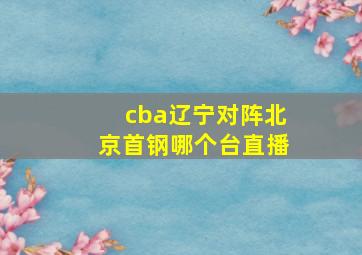 cba辽宁对阵北京首钢哪个台直播