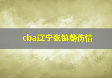 cba辽宁张镇麟伤情